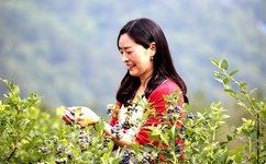 最近中文字幕MV免费高清动画